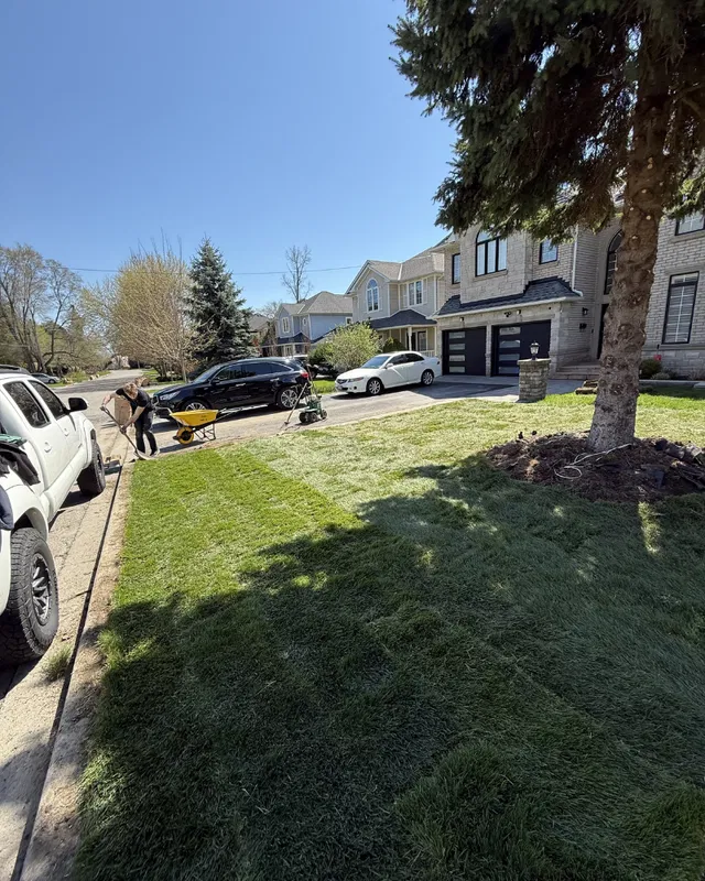 vortex sodding installation services in durham region ontario canada