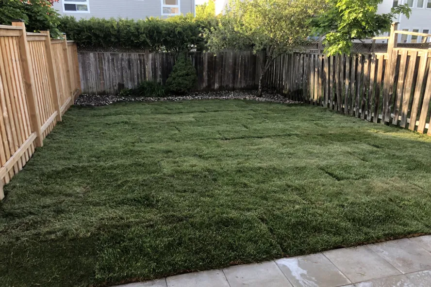 vortexconstruction_backyardsodinstallproj