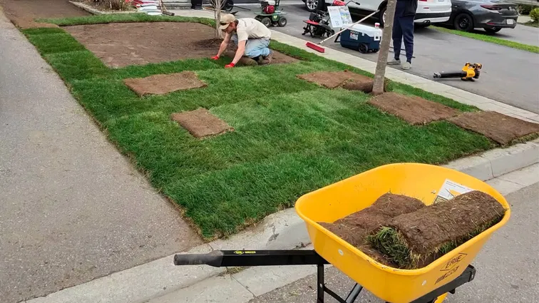 sod installation by vortex construction in durham region