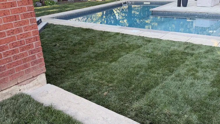 sod installation by the pool in durham region by vortex construction