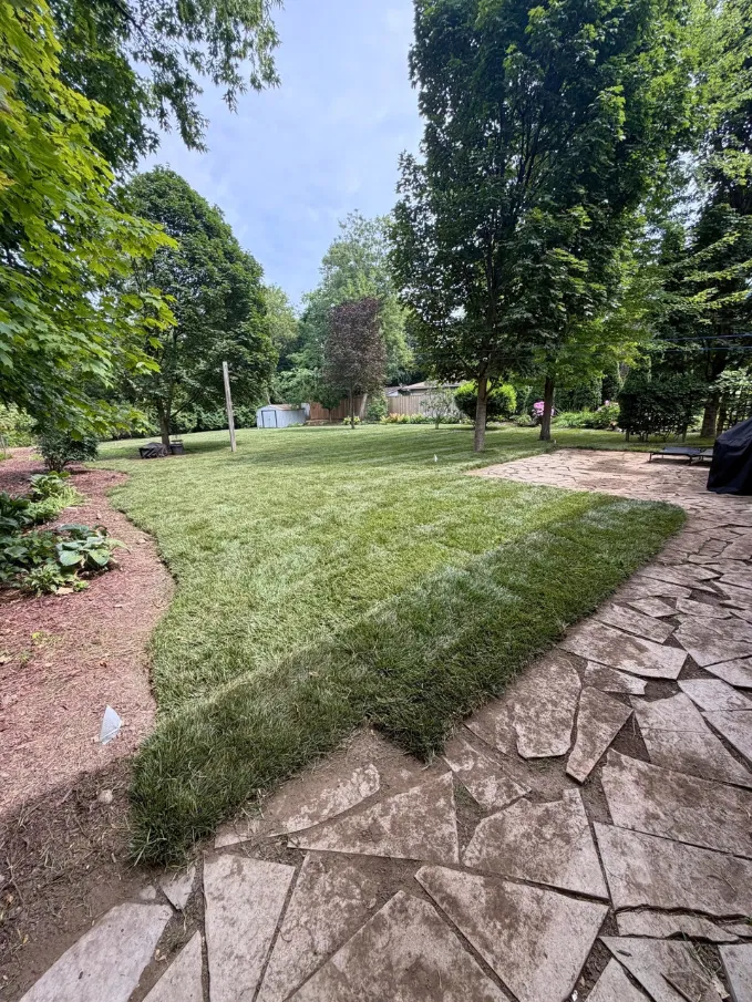 landscape sod installation in durham region by vortex construction
